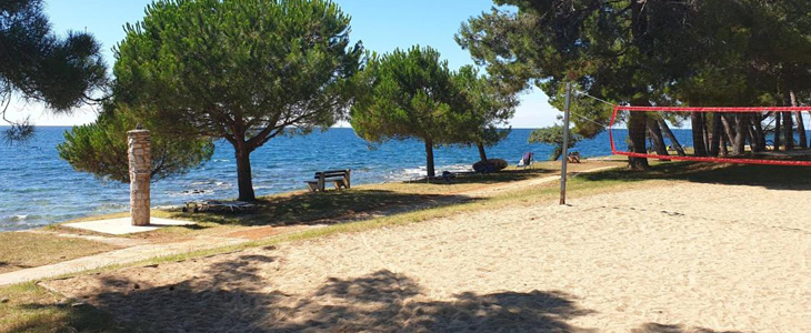 Family Bungalow Pineta: 2x nočitev - Kuponko.si