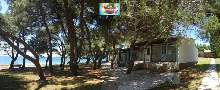 Family Bungalow Pineta: 3x nočitev - Kuponko.si