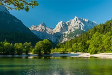 Apartmaji Otašević Kranjska Gora: najem apartmaja