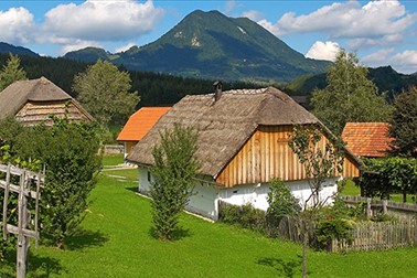 Muzej na prostem Rogatec: vstopnica