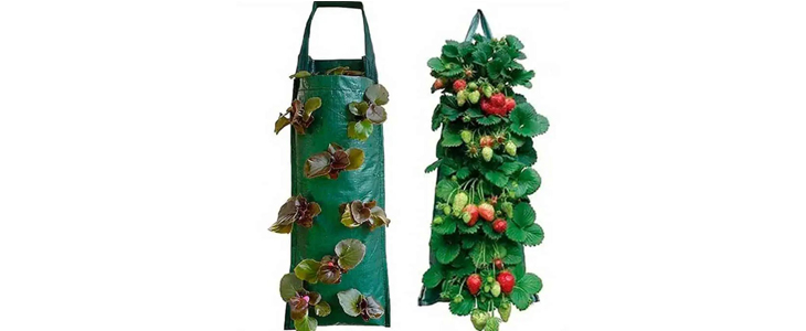 1+1 GRATIS StrawberryBag, viseča vreča za sajenje jagod - Kuponko.si