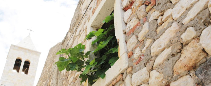 Aparthotel Tamarix 4*, Zadar: 2x nočitev - Kuponko.si
