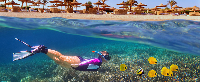 Swiss Inn Resort Hurghada 5*, Egipt: poletni oddih - Kuponko.si