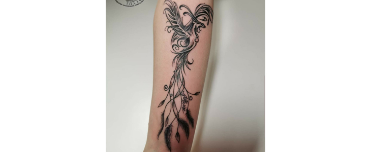 Tattoo: INKarnation Tattoo studio v Kranju - Kuponko.si