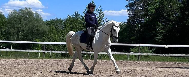 Equestin šola dresurnega jahanja Ljubljana, jahalni tab - Kuponko.si