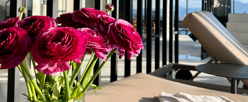 Serenity wellness & spa: razvajanje za 2 osebi - Kuponko.si