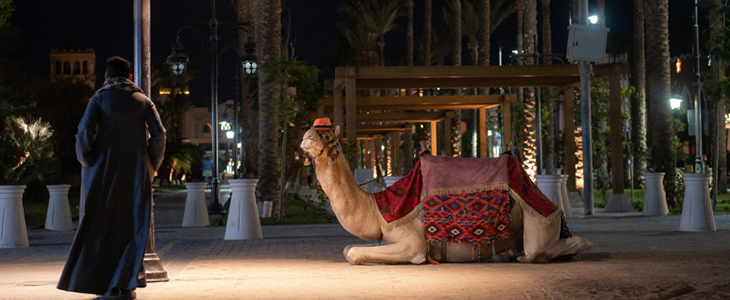 The Grand Resort, Hurgada Egipt, all inclusive - Kuponko.si