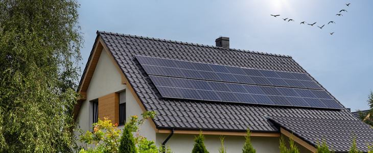 Čiščenje sončne elektrarne za samooskrbo (do 36 kW)! - Kuponko.si