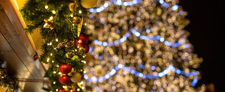 goHolidays: Bratislava in Dunaj, advent, 2 dni - Kuponko.si