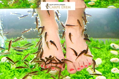 Salon lepote in zdravja Carpe Diem: fish spa tretma Salon lepote in zdravja Carpe Diem: fish spa tretma