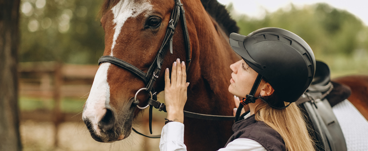 Turistična kmetija Ranč Velika, jahanje - Kuponko.si