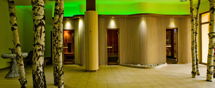 Hotel Kovač, kopanje, savnanje, kosilo - Kuponko.si