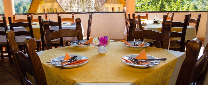 Hotel Kovač, kopanje, savnanje, kosilo - Kuponko.si