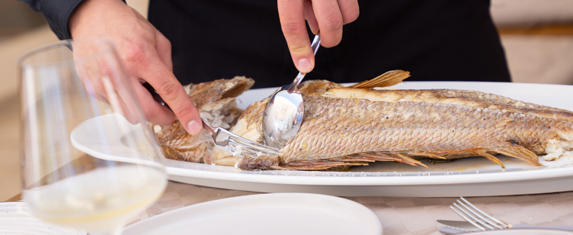 Hotel Marina, Fažana: morski oddih - Kuponko.si