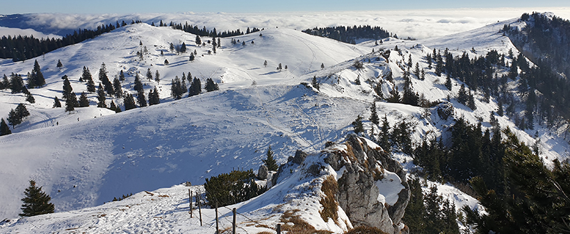 Velika planina resort, najem planinske koče - Kuponko.si