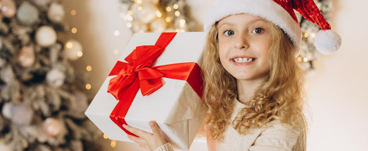 Rjavo-beli poni dazzle z mehko dlako - Kuponko.si