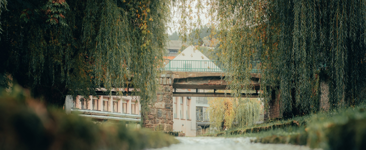 Apartmaji Stella, Dolenjske Toplice, najem - Kuponko.si