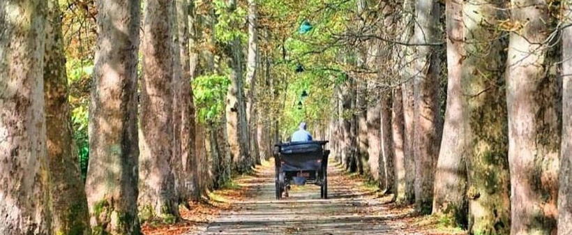 Motel Izvor Bosne 4*: jesenske počitnice - Kuponko.si