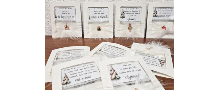  2x božični magnet z zabavnim zapisom  - Kuponko.si