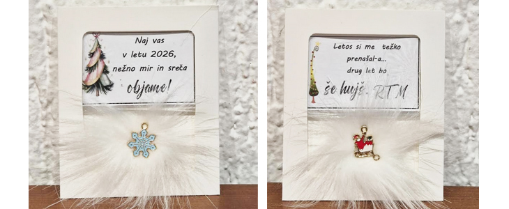  2x božični magnet z zabavnim zapisom  - Kuponko.si