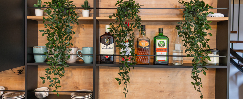 Ranč Dida, Petrovci: nočitev z uporabo jacuzzija - Kuponko.si