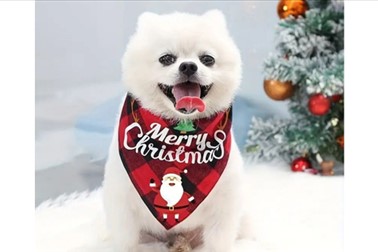 Bandana, božična ruta za pse v rdeči barvi