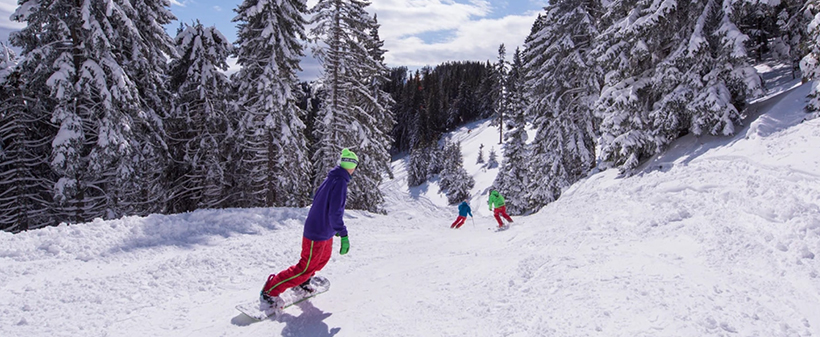 Golte, Wellnes Hotel Montis, smučarski oddih - Kuponko.si