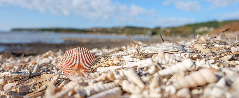 Mobilna hiška, Ankaran: jesenski oddih - Kuponko.si