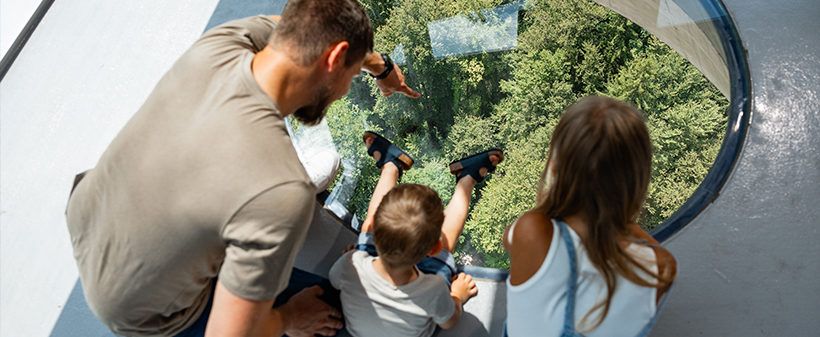 Stolpa Kristal & razvajanje v restavraciji Kaiser - Kuponko.si