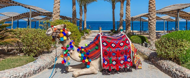 King Tut Aqua Park Beach Resort**** v Hurgadi, Egipt - Kuponko.si