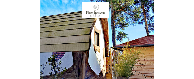 Wellness Pine Heaven: najem savne in masažnega bazena - Kuponko.si