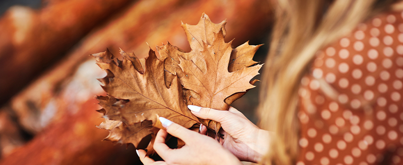 Hotel Excelsior 4*, Lovran: družinski oddih - Kuponko.si