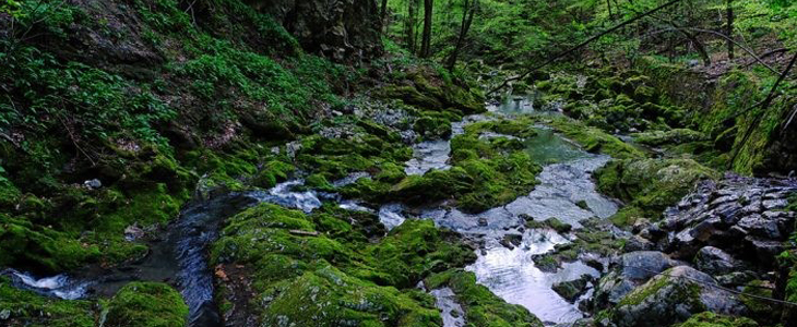Pr' Vili Fani ob reki Kolpi s savnanjem - Kuponko.si
