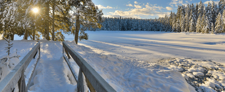 Apartmaji Forest Videc 3*, Mariborsko Pohorje - Kuponko.si