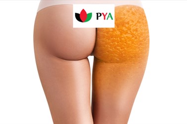 PYA center Maribor: preoblikovanje telesa