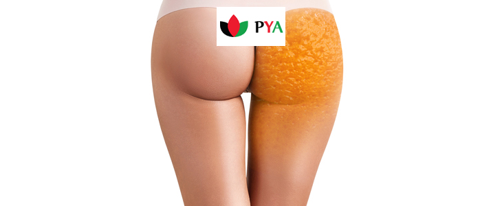 PYA center Maribor: preoblikovanje telesa - Kuponko.si