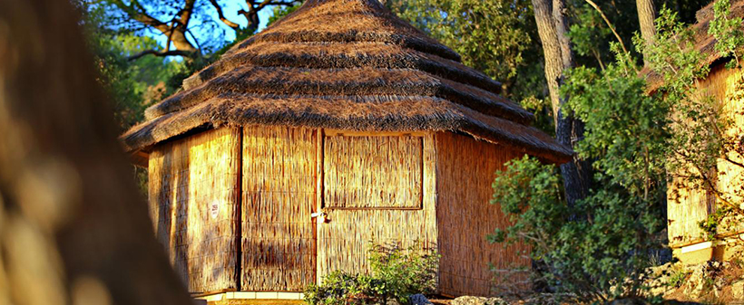 Pine Beach Pakoštane Resort***, Hrvaška - Kuponko.si