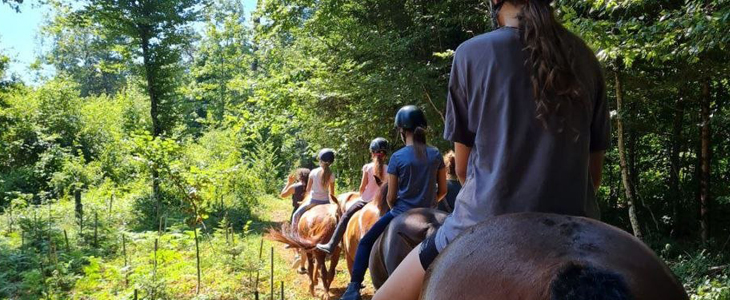 Equestin šola jahanja, sprehod na konju za otroke - Kuponko.si