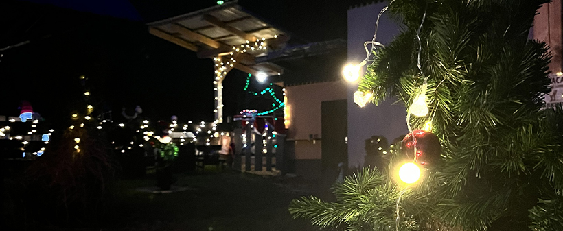 Alpaka Land, zimsko druženje za alpakami - Kuponko.si