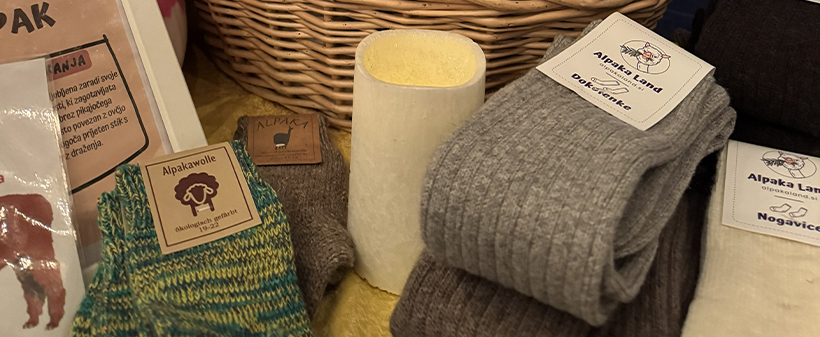 Alpaka Land, zimsko druženje za alpakami - Kuponko.si