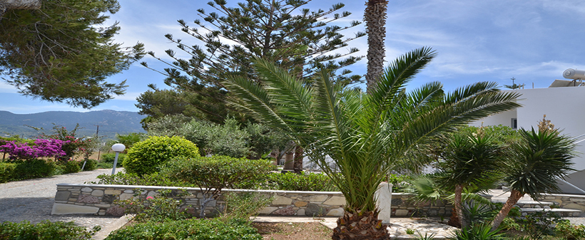 Blue Nest hotel*** na otoku Kos v Grčiji - Kuponko.si