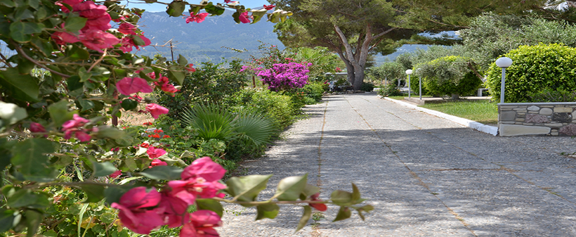 Blue Nest hotel*** na otoku Kos v Grčiji - Kuponko.si