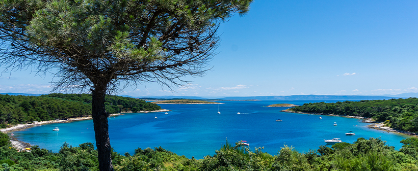 Ai Pini Resort***, Medulin, Hrvaška - Kuponko.si