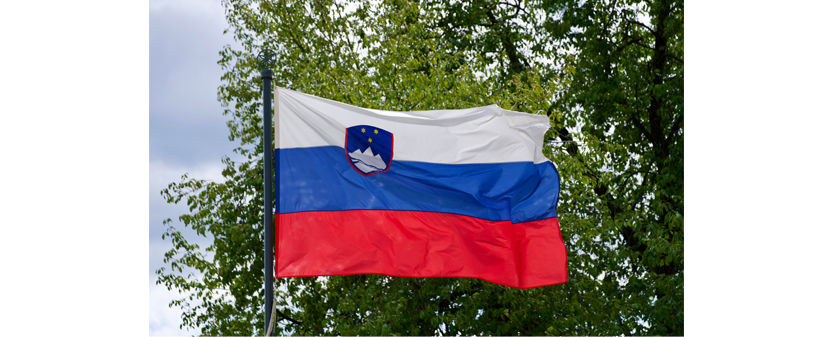 Slovenska zastava (150 x 90 cm) - Kuponko.si