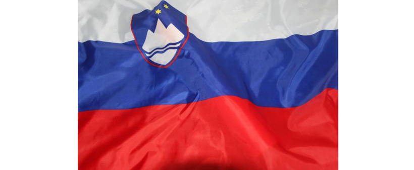 Slovenska zastava (150 x 90 cm) - Kuponko.si