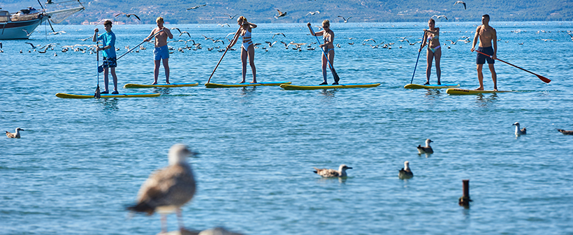 Mobilne hiške Kamp Stobreč 4* Split - Kuponko.si