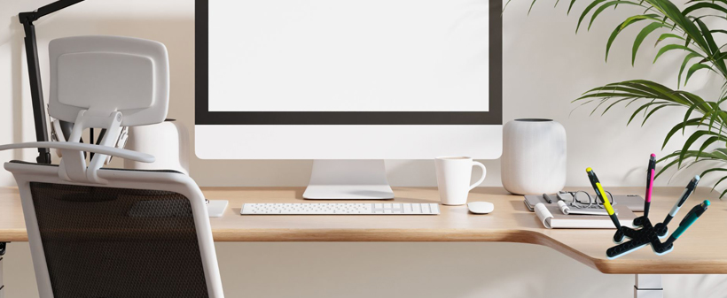 Crime organizator za pisala v črno-beli barvi - Kuponko.si