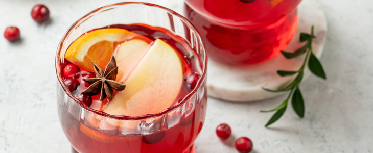 The Hotel Ljubljana, kuhan gin - Kuponko.si