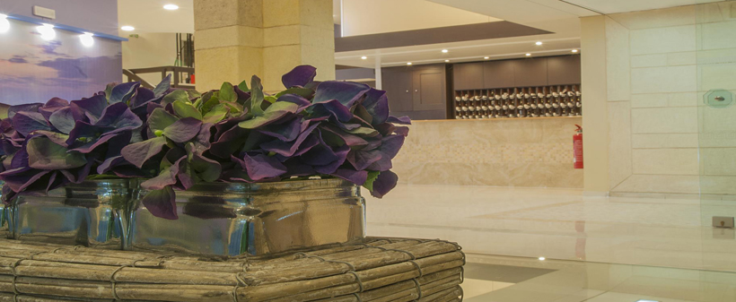 Europa hotel 3*, Rodos, Grčija - Kuponko.si