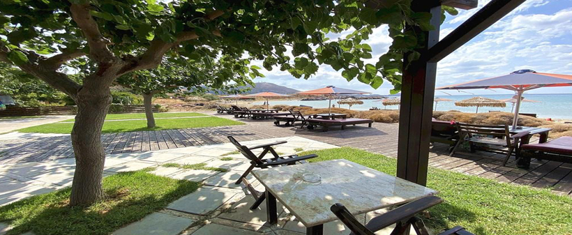 Parathinalos studii*** na otoku Limnos v Grčiji - Kuponko.si